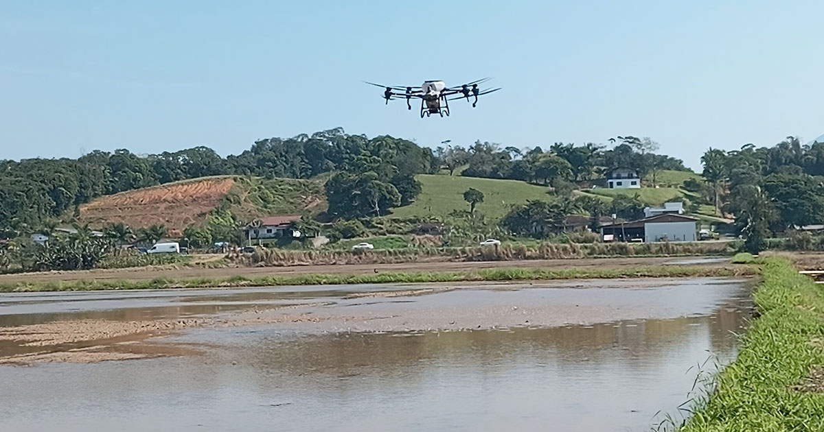 Campoar-Drones-Agrícolas--Uma-Nova-Era-na-Agricultura-moderna-com-a-Semeadura-de-Arroz-por-Drones